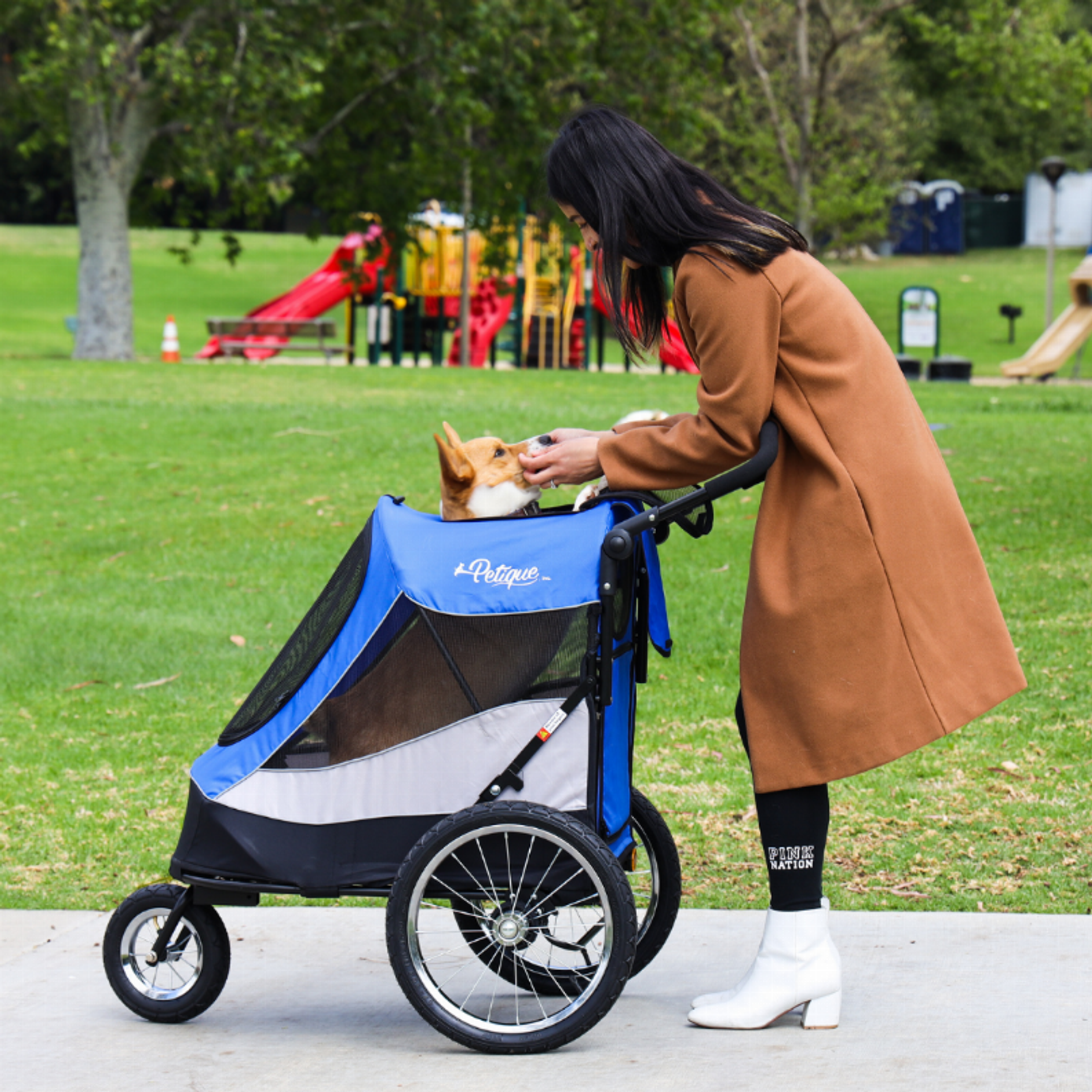 Trailblazer Pet Jogger