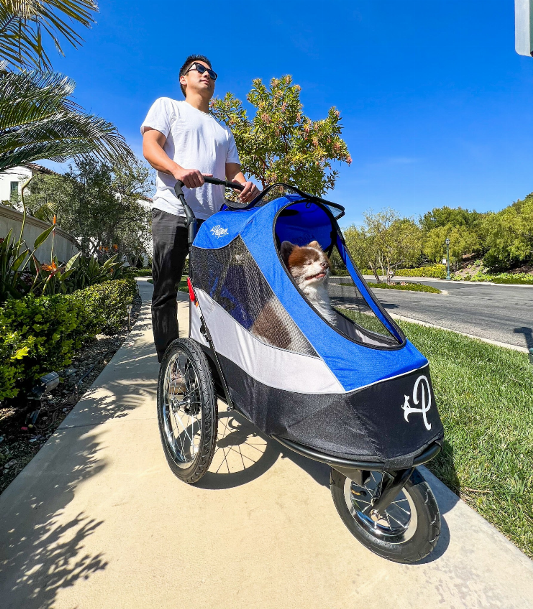 Trailblazer Pet Jogger