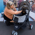 Load image into Gallery viewer, Glacier Pet Stroller
