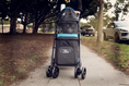 Load image into Gallery viewer, Double Decker Pet Stroller
